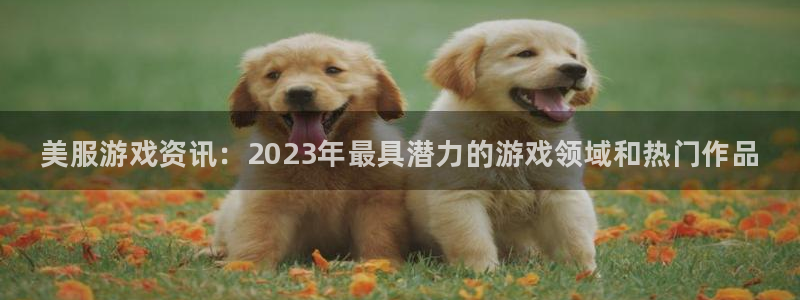 多彩娱乐注册测速：美服游戏资讯：2023年最具潜力的游戏领域