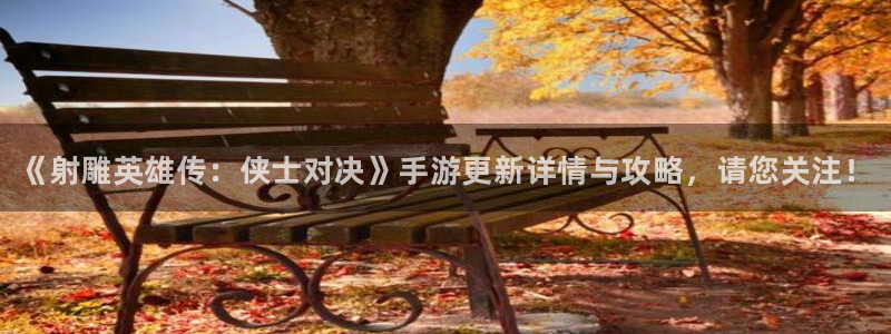 多彩娱乐线路测试：《射雕英雄传：侠士对决》手游更新详情与攻略