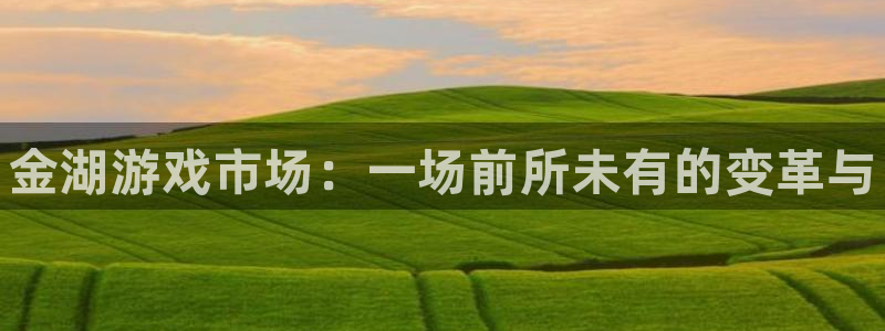 多彩娱乐是什么：金湖游戏市场：一场前所未有的变革与