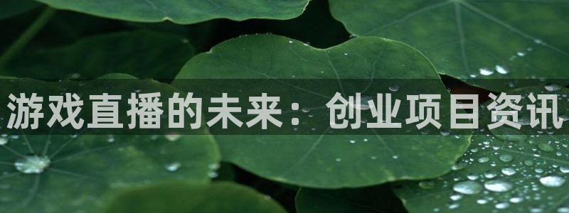 多彩娱乐官方平台：游戏直播的未来：创业项目资讯
