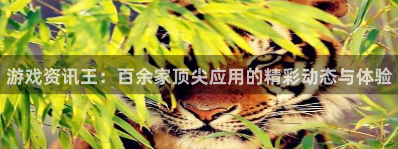 多彩娱乐下载：游戏资讯王：百余家顶尖应用的精彩动态与体验