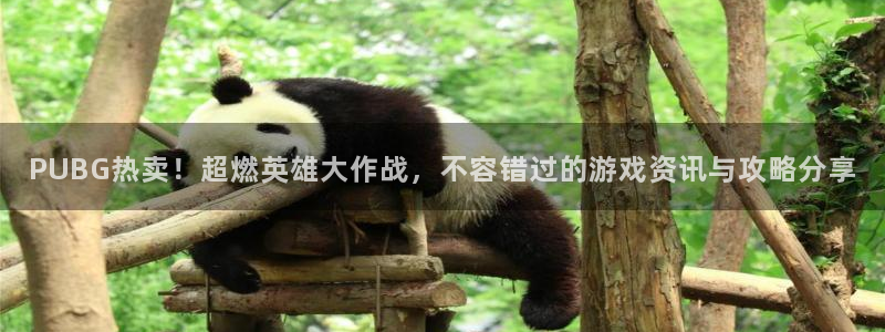 多彩娱乐代理登陆:PUBG热卖!超燃英雄大作战,不容错过的游