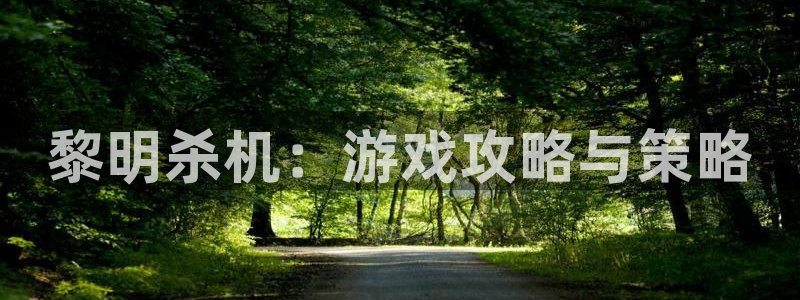 多彩娱乐游戏：黎明杀机：游戏攻略与策略