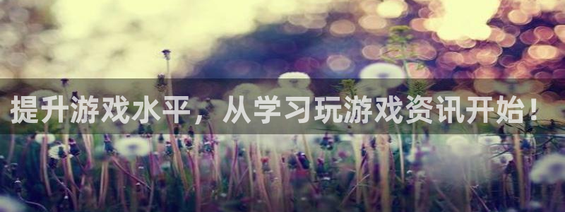 多彩娱乐4招商：提升游戏水平，从学习玩游戏资讯开始！