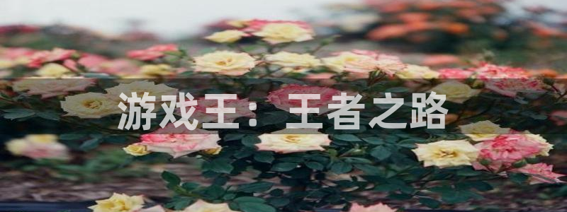 多彩娱乐代理登陆：游戏王：王者之路