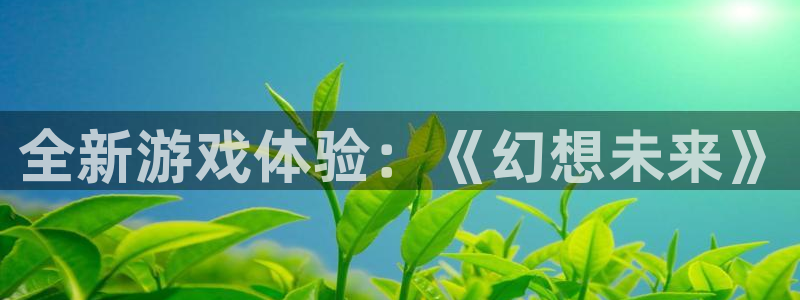 多彩联盟注册：全新游戏体验：《幻想未来》