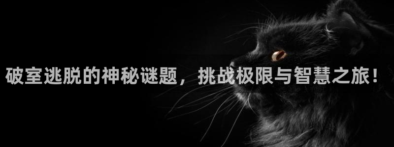 多彩联盟8年以上平台下载安装：破室逃脱的神秘谜题，挑战极限与