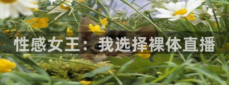 雨燕直播足球免费：性感女王：我选择裸体直播