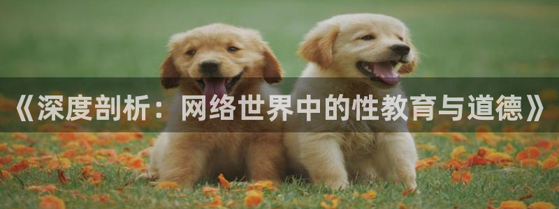 雨燕直播体育在线观看：《深度剖析：网络世界中的性教育与道德》